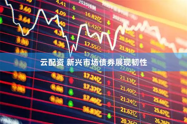 云配资 新兴市场债券展现韧性