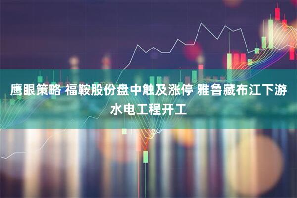 鹰眼策略 福鞍股份盘中触及涨停 雅鲁藏布江下游水电工程开工