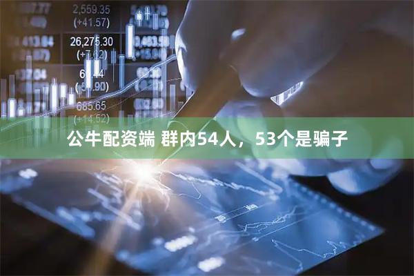 公牛配资端 群内54人，53个是骗子
